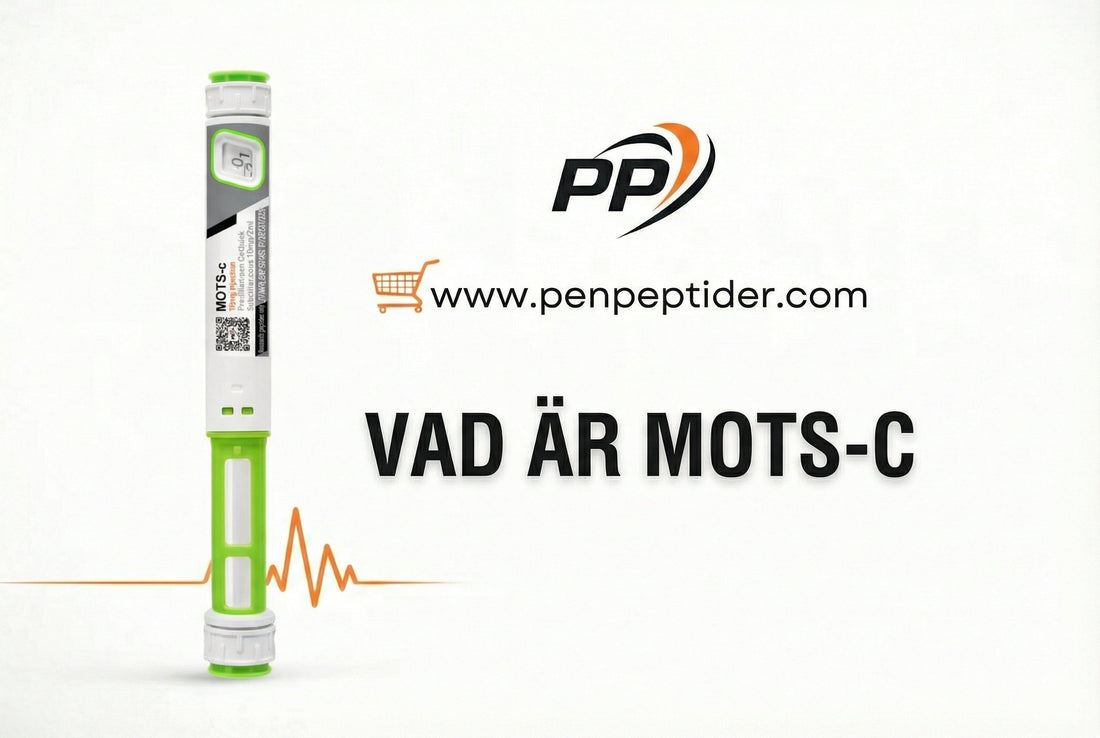 MOTS-c metabolism – mitokondriell peptid för energi och metabol hälsa